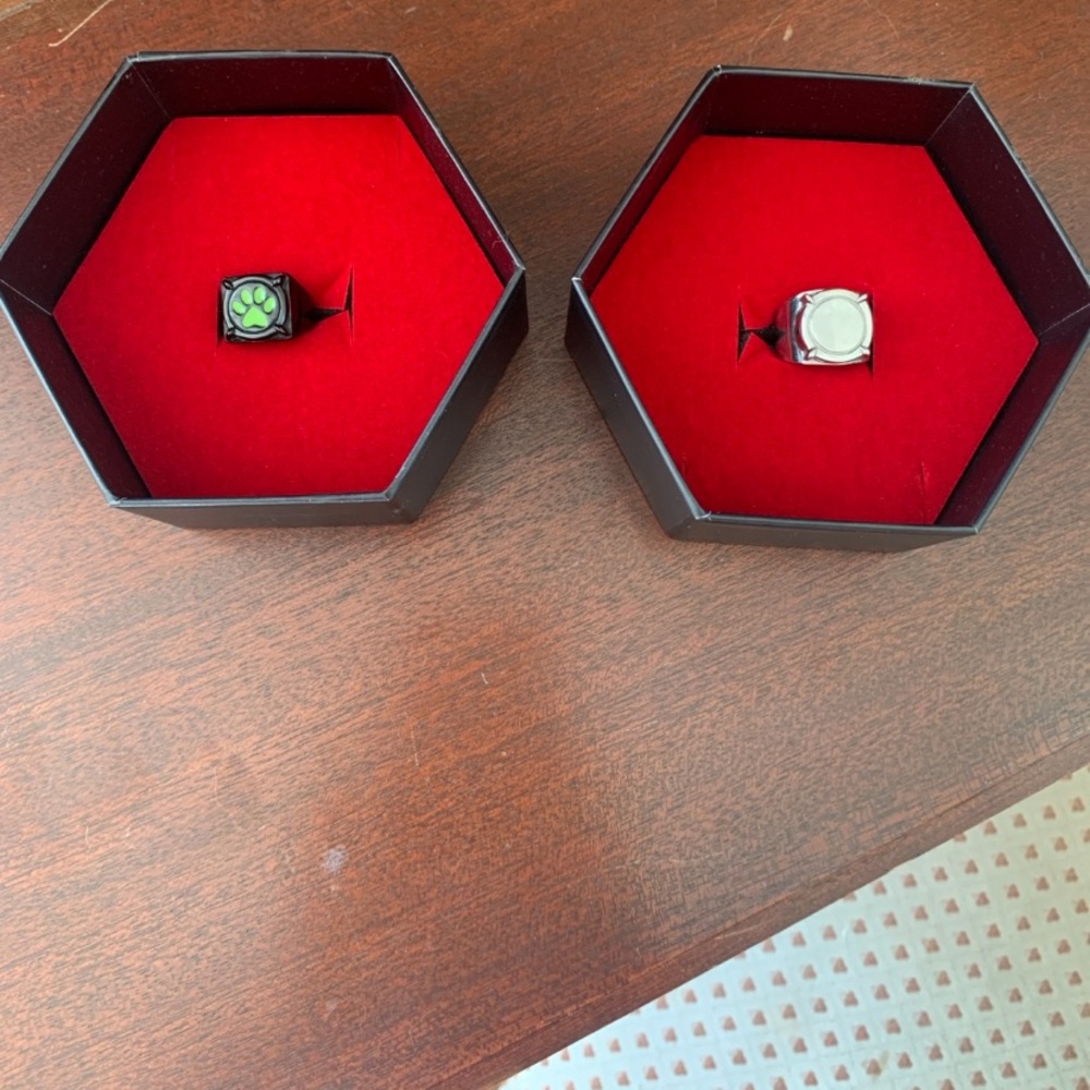 Miraculous Ladybug Adrien Agreste and Cat Noir Rings